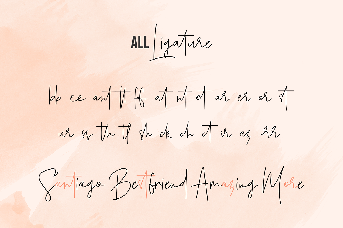 Santiago Pro - Signature / Free Logo, a Script Font by Dierstudio (Photo 17 of 18)