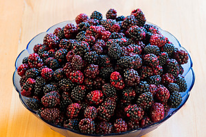 Wild Blackberry Bowl Overhead, a Food & Drink Photo by THP Creative