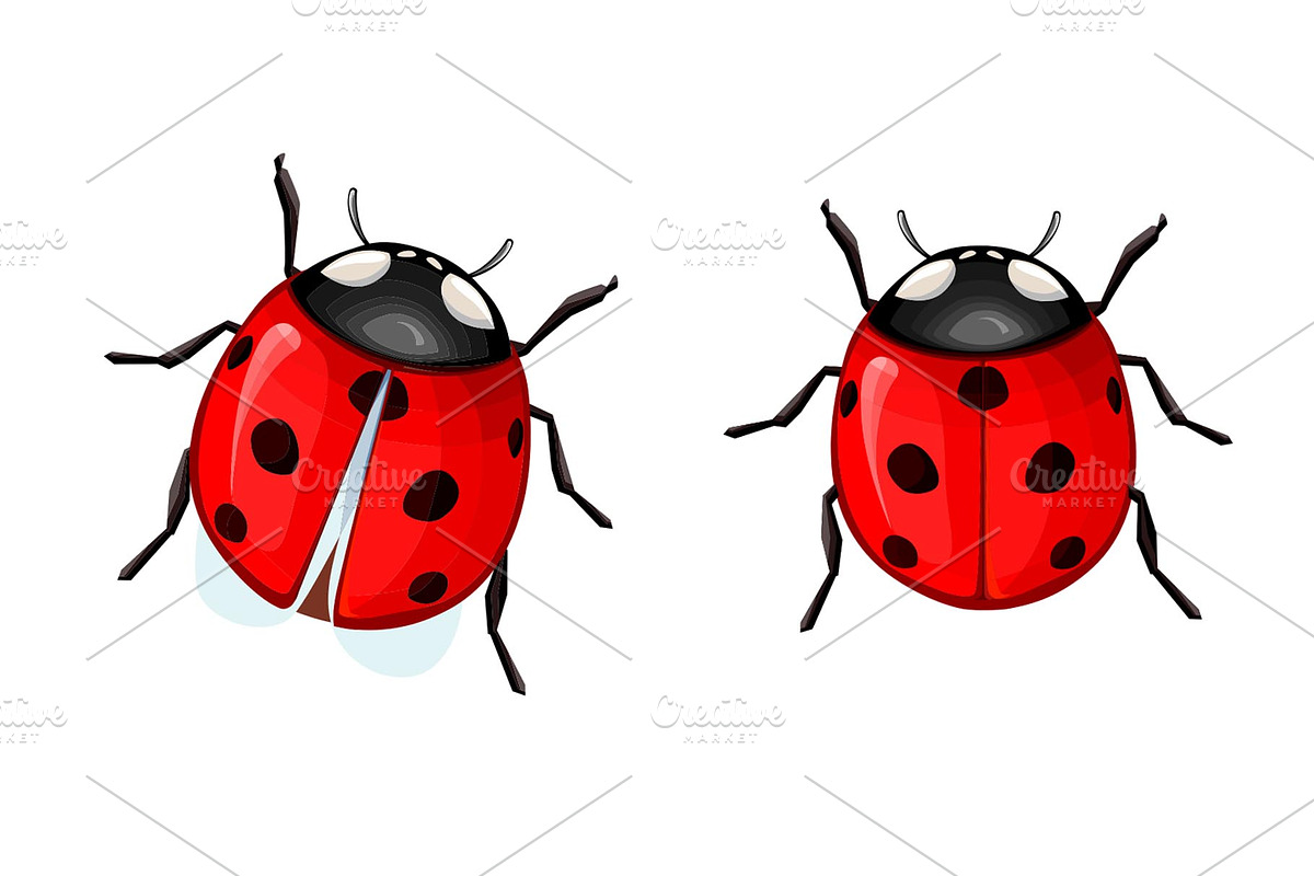 Ladybug, a Pattern Graphic by Sweet_print (Photo 2 of 2)