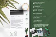 HR Resume Template, HR Resume, a Resume Template by Career Canvas (Thumbnail 4 of 11)