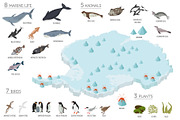 Antarctica isometric flora and fauna, an Animal Illustration by pet design shop (Thumbnail 2 of 5)