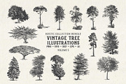 Vintage Tree Vector Bundle Vol. 5, an Object Illustration by Seaquint (Thumbnail 1 of 5)