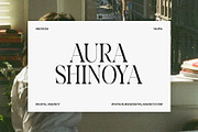 Gemon Unique Serif Font, a Serif Font by Perfectype (Thumbnail 4 of 8)