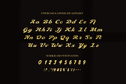 Galaxy Bold Script Font, a Script Font by Elegant Font (Thumbnail 8 of 8)