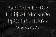 Neue Mylon - 21 Fonts, a Sans Serif Font by Nasir Udin (Thumbnail 11 of 14)