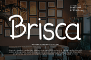 Brisca - Modern Handwritten Font, a Handwritten Font by overlaytemplates (Thumbnail 1 of 5)