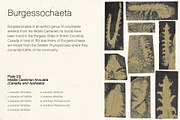 BROKE GROTESK Handmade Sans Serif, a Sans Serif Font by Lund Design Co. (Thumbnail 7 of 10)