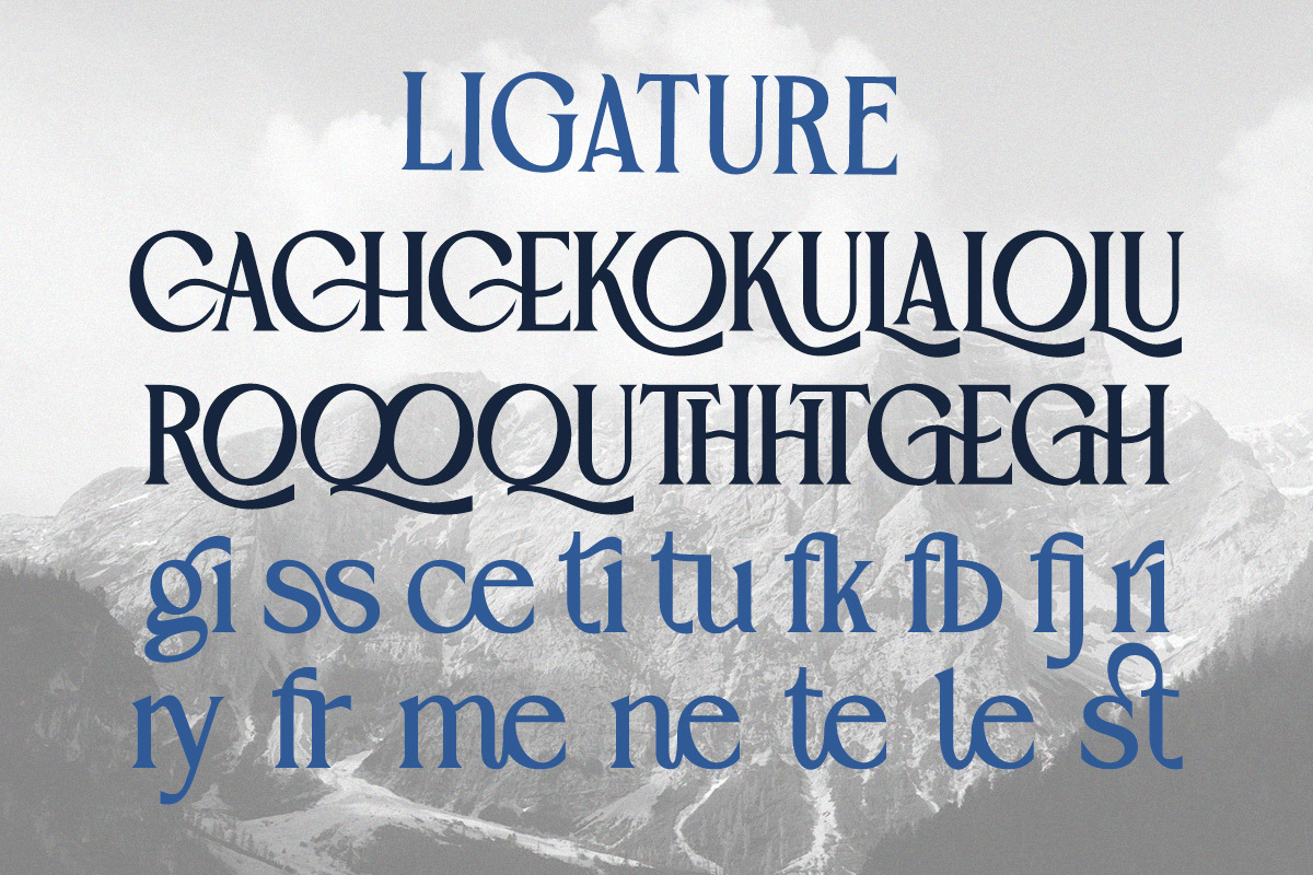 Berenhart - Elegant Modern Classy, a Serif Font by Qweera Studio (Photo 11 of 12)