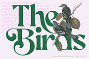 AEKIY KAGON — Elegant Bold Serif, a Serif Font by Enxyclo Studio (Thumbnail 4 of 21)