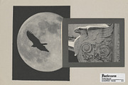 Darkroom - Analog Photo Toolkit, a Preset Add-On by MiksKS (Thumbnail 22 of 27)
