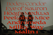 Lucaria - Display Serif Familia, a Serif Font by Jehoo Creative (Thumbnail 11 of 11)