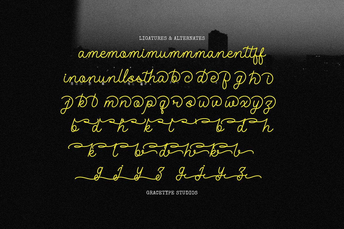 Julethia | Monoline Script Font, a Script Font by gracetype_studio (Photo 12 of 12)