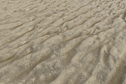 Wet Sand Pack (Tileable), a Textures & Material 3D Model by Fiat Lux (Thumbnail 6 of 8)