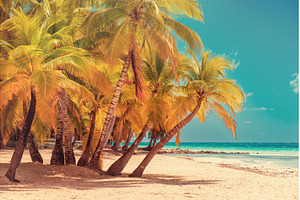 Tropical Caribbean beach, Dominican, a Nature Photo by Nature and travel