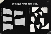 ROGUE - BEAST COLLAGE PACK, an Object Graphic by GOAT Design Co. (Thumbnail 7 of 11)