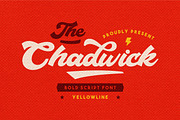 Chadwick Script, a Script Font by yellowline (Thumbnail 1 of 9)