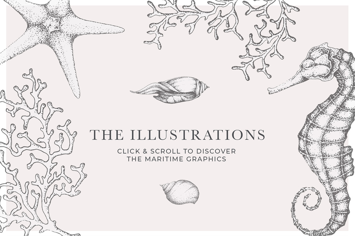 Coral Beach - Maritime Illustrations, a Texture Illustration by Laras Wonderland (Photo 4 of 11)