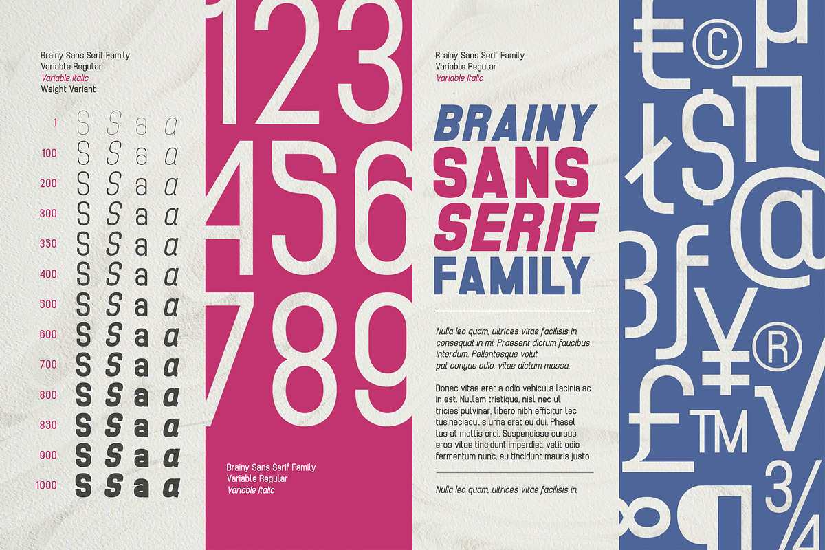 Brainy - Sans Serif (132 Fonts), a Sans Serif Font by Maculinc Type (Photo 3 of 8)