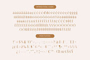 Rich Dashy Modern Elegant Serif, a Script Font by timelesstype.co (Thumbnail 19 of 20)