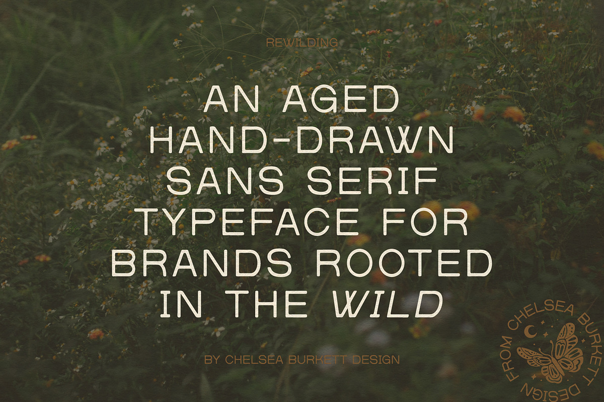Rewilding, a Sans Serif Font by Chelsea Burkett (Photo 3 of 8)