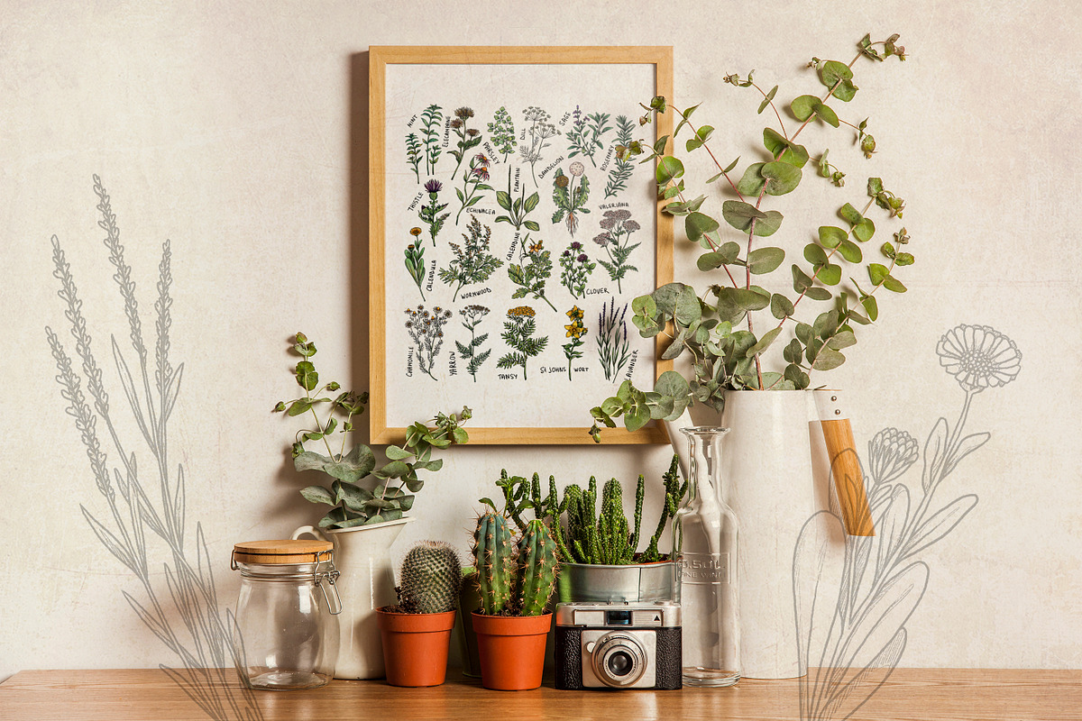 Healing Herbs * Botanical Bundle, a Healthcare Illustration by Ink Stories (Photo 4 of 13)