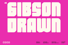CS Gibson Drawn