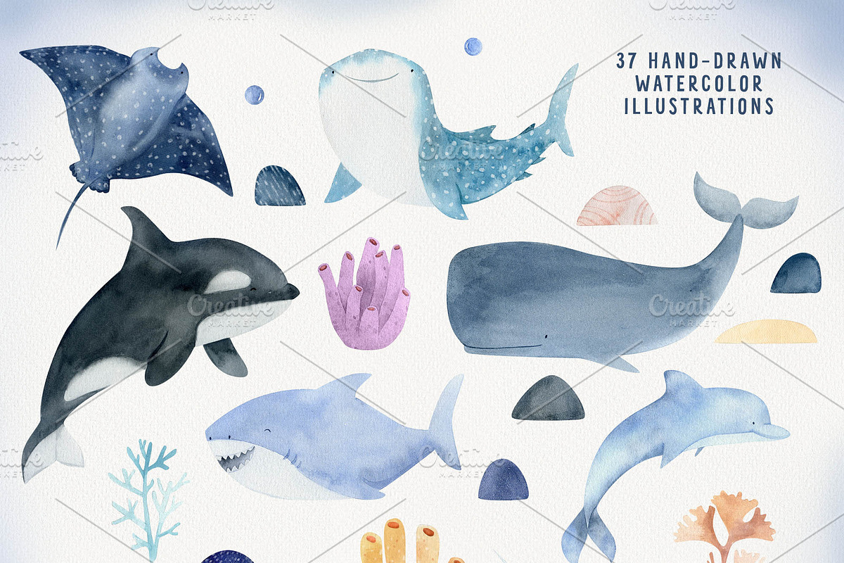 Ocean & Under the sea animal clipart, an Animal Illustration by Watercolor Nastasia Art (Photo 2 of 10)