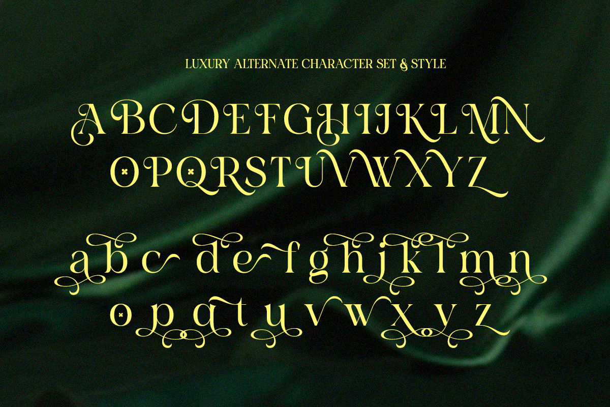 Charon Smith – A Modern Classic, a Serif Font by Qweera Studio (Photo 10 of 12)