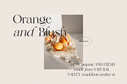 Frunchy Sage - Modern Serif Family, a Serif Font by Sans & Sons (Thumbnail 2 of 11)