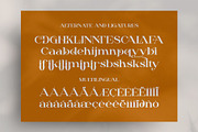 Dailen Style || Serif Font, a Serif Font by Idea Studio (Thumbnail 10 of 10)