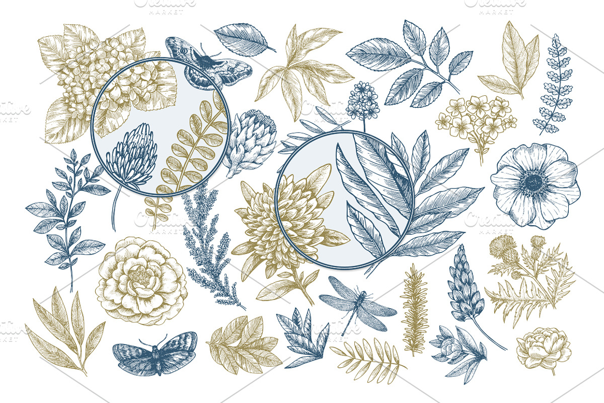 Handsketched Floral Collection, a Decorative Illustration by adehoidar (Photo 3 of 7)