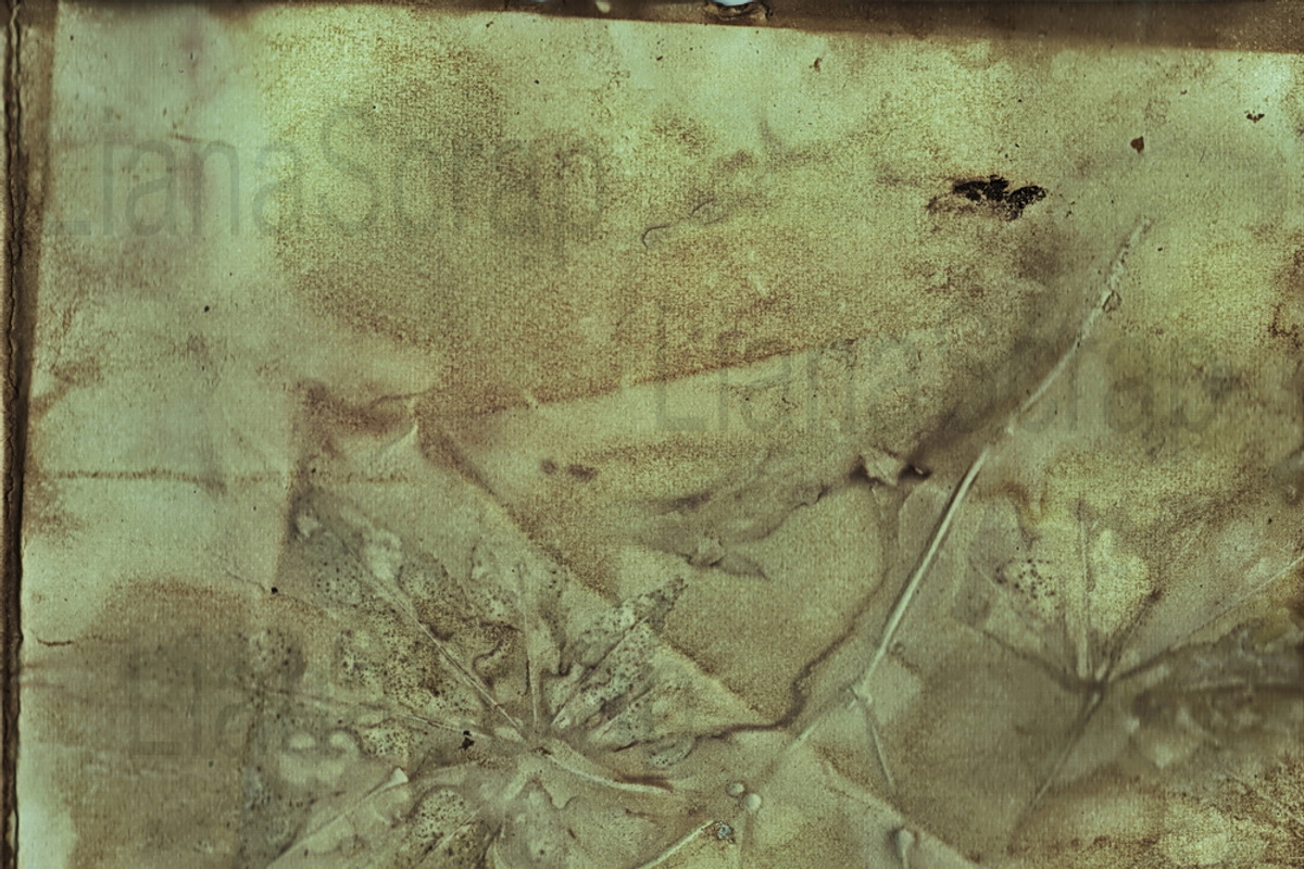 36 ECO Dyed paper - Forest Floor, a Texture Graphic by LianaScrap (Photo 16 of 19)