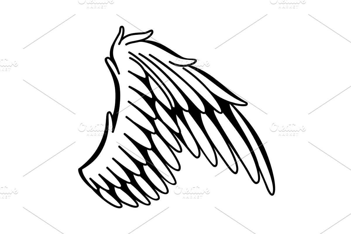 Wings sketch. Stylized birds, an Object Illustration by Things for designers