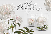 Peonies. Spring flower collection., an Object Graphic by RushkinaAntonina (Thumbnail 3 of 5)