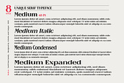 Raiken - Serif font family, a Serif Font by Artistic & Unique (Thumbnail 8 of 14)