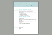 Marketing Resume | Modern Template, a Resume Template by Scribbled Napkin Design (Thumbnail 3 of 5)