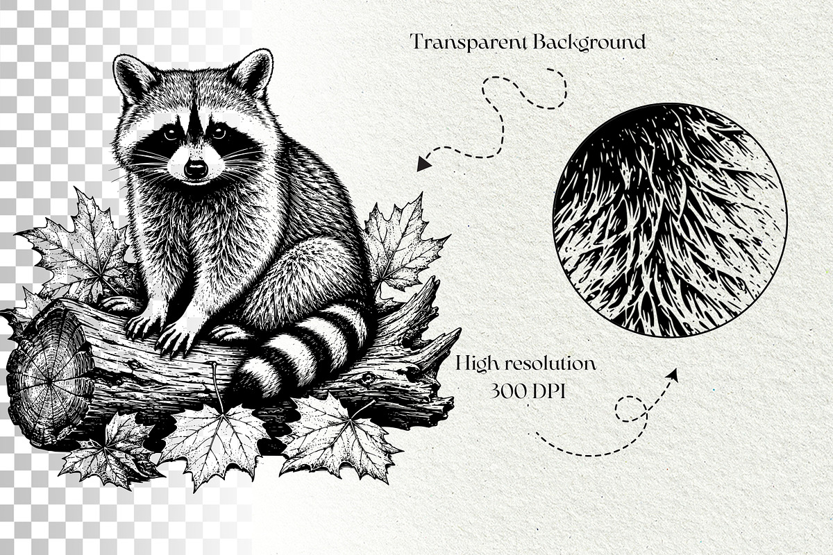 Woodland Raccoon SVG Graphics, an Animal Illustration by DENIDigitalArtSudio (Photo 8 of 8)