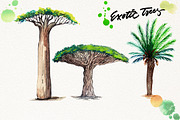 Watercolor Exotic Trees, an Illustration by Graphobia (Thumbnail 6 of 11)