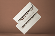 NV NERIVO – Modern Serif Font, a Serif Font by Novaratype (Thumbnail 13 of 15)