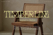 Alorisse – Editorial Ligature Font, a Font by SilverStag Type Foundry (Thumbnail 15 of 20)