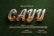 Cayu - Refined Modern Serif, a Serif Font by Astuti Studio (Thumbnail 20 of 23)