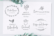 Poppit & Finch Fonts & Illustrations, a Script Font by Nicky Laatz (Thumbnail 7 of 14)