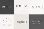 Blanche | Modern Sans Serif + Logos, a Sans Serif Font by Pink Coffie (Thumbnail 6 of 11)