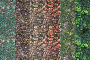 6 Seamless Leaf Material Textures, a Textures & Material 3D Model by 3DTreatment (Thumbnail 1 of 11)
