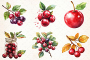 Watercolor Cranberry Clipart, an Illustration by Libby Wishes (Thumbnail 2 of 10)