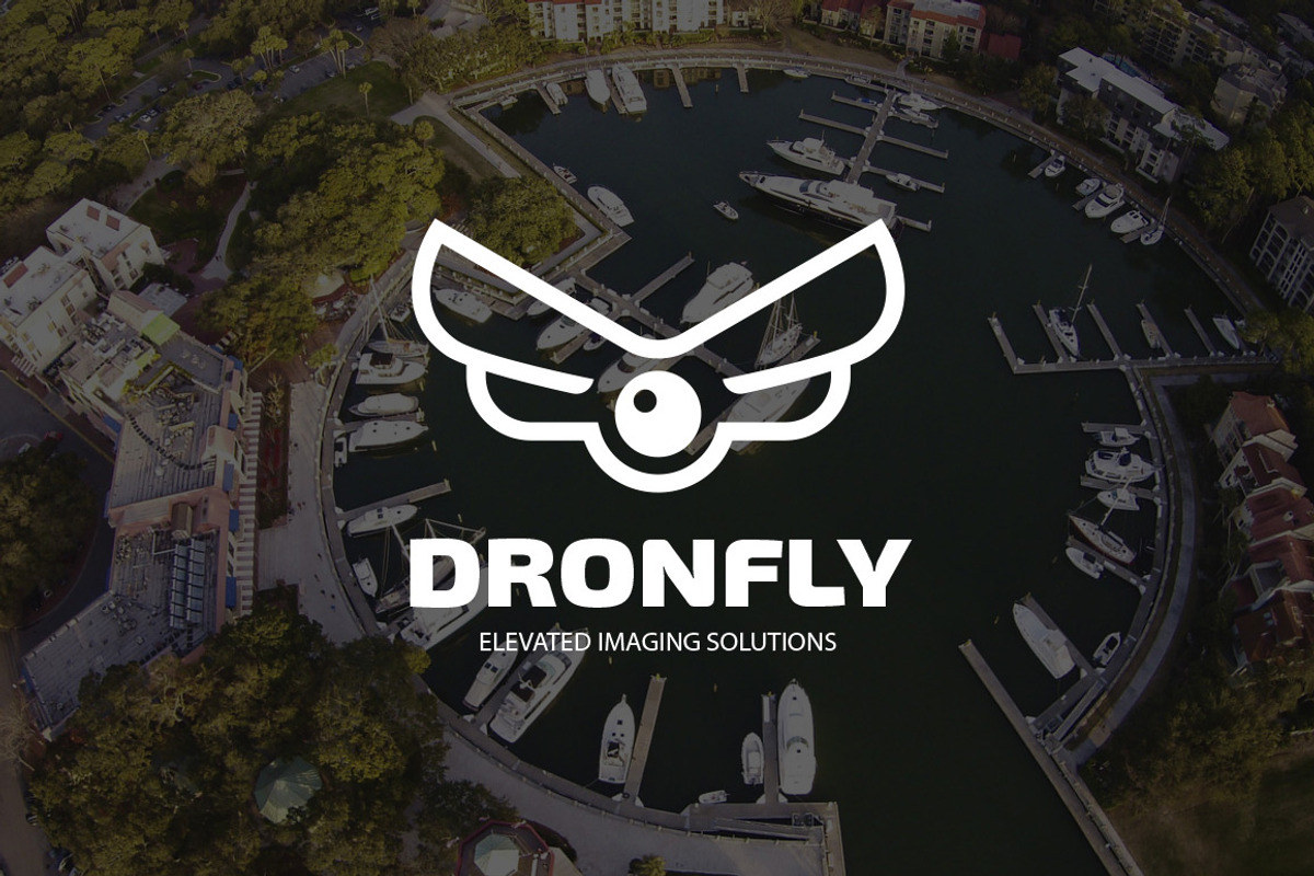 Dronefly Logo, a Branding & Logo Template by blooon (Photo 1 of 4)