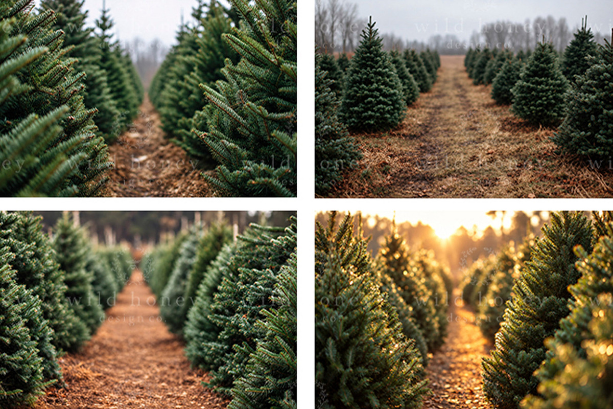Christmas Tree Farm Backdrop BUNDLE, a Layer Style Add-On by Wild Honey Design Co. (Photo 2 of 4)