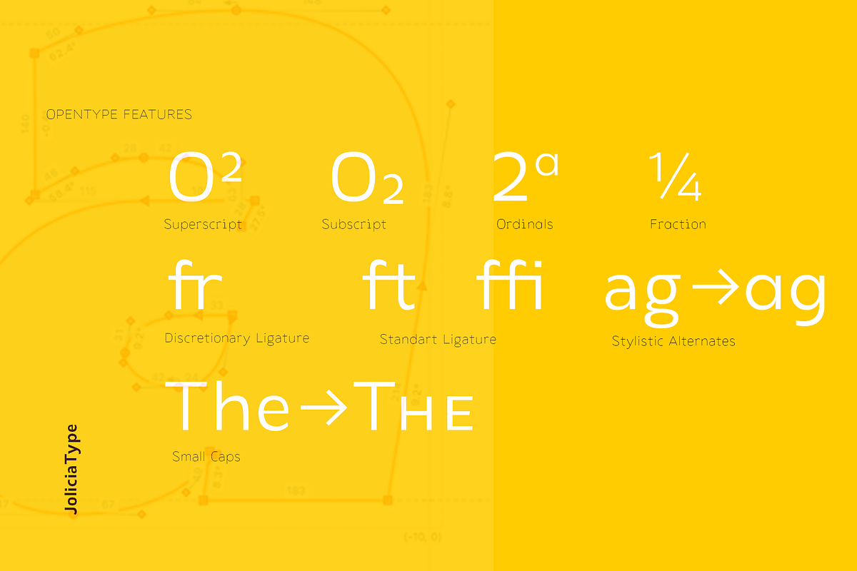 Laire Sans | 40 Font + Variable Font, a Sans Serif Font by Jolicia Type (Photo 5 of 13)