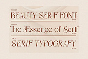 Sassy Born - Modern Elegant Font, a Serif Font by Qweera Studio (Thumbnail 12 of 12)