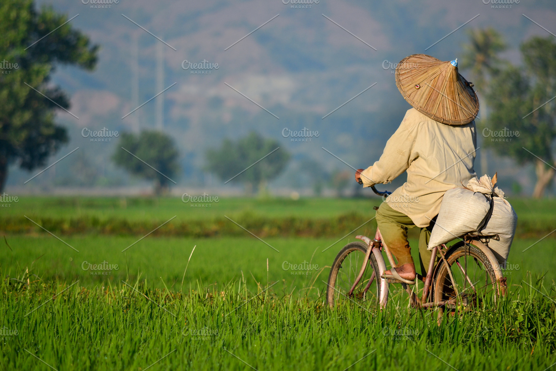 Farmers Crossing the Rice Fields, a Nature Photo by bastera